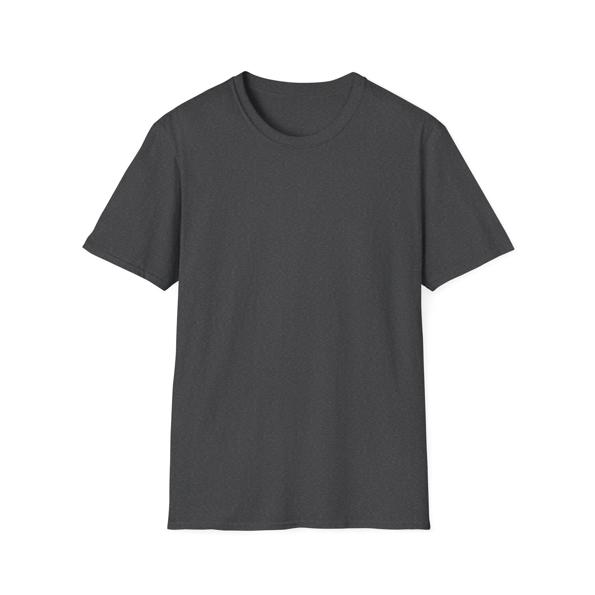 Airborne Outlaws Skull T-Shirt
