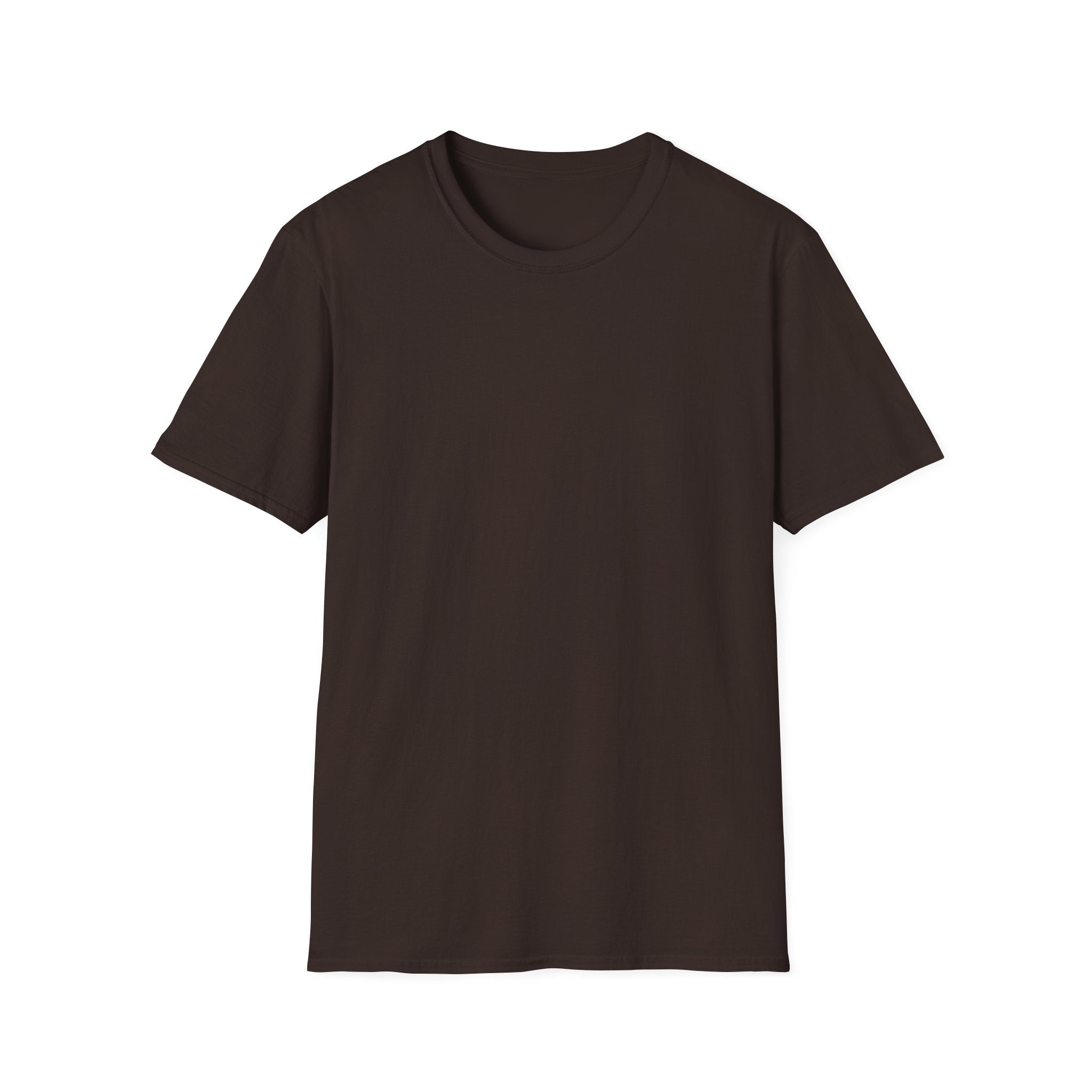 Airborne Outlaws Skull T-Shirt
