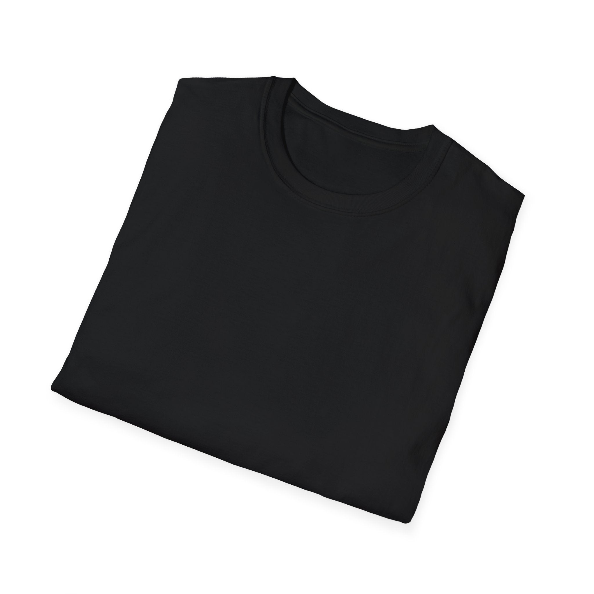 Passenger Princess T-Shirt